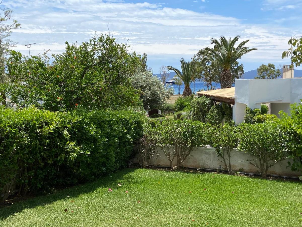 Villa 21 *